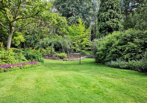 Optimiser l'expérience du jardin à Gondrecourt-le-Chateau